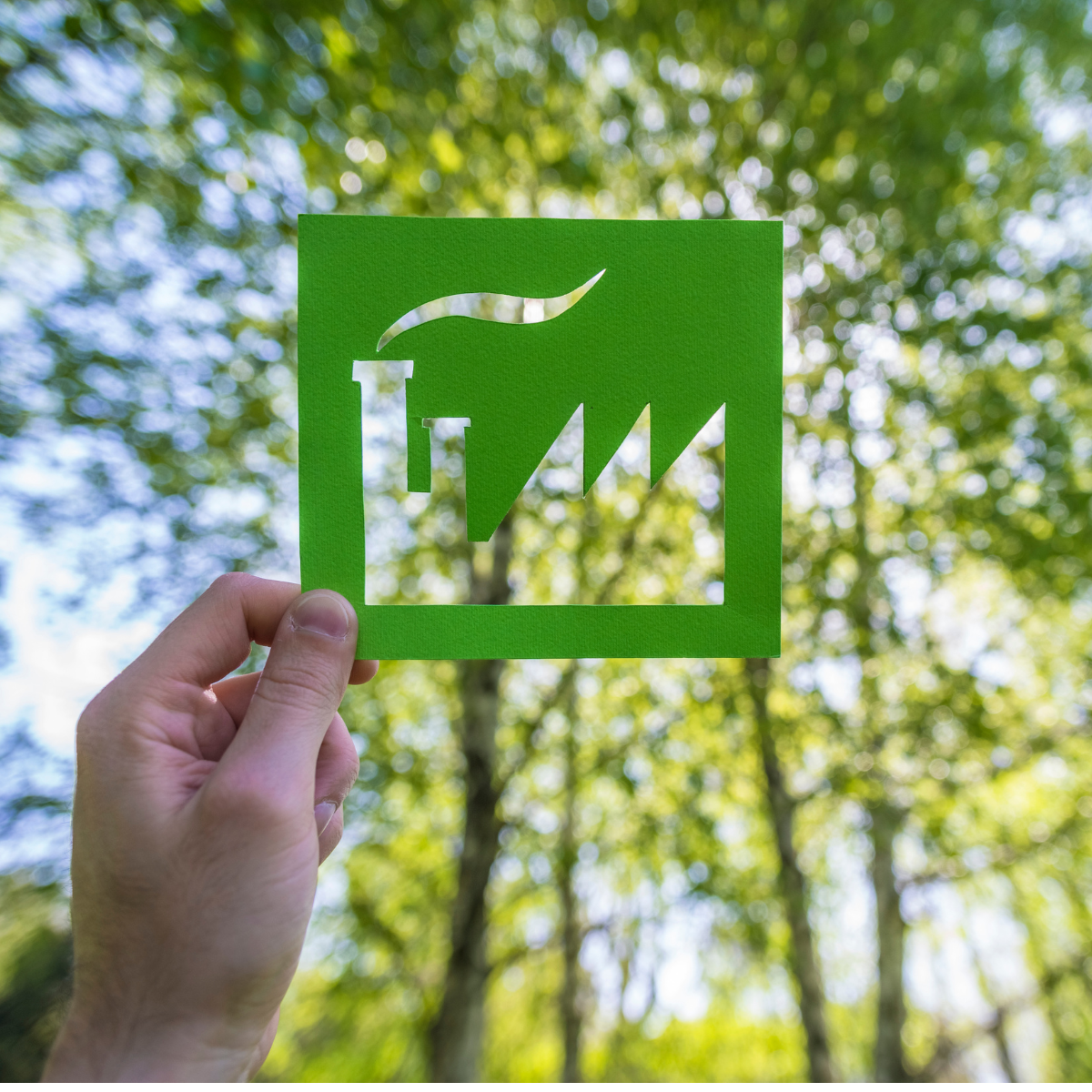 Was ist der CO₂-Fußabdruck und wer verursacht ihn?